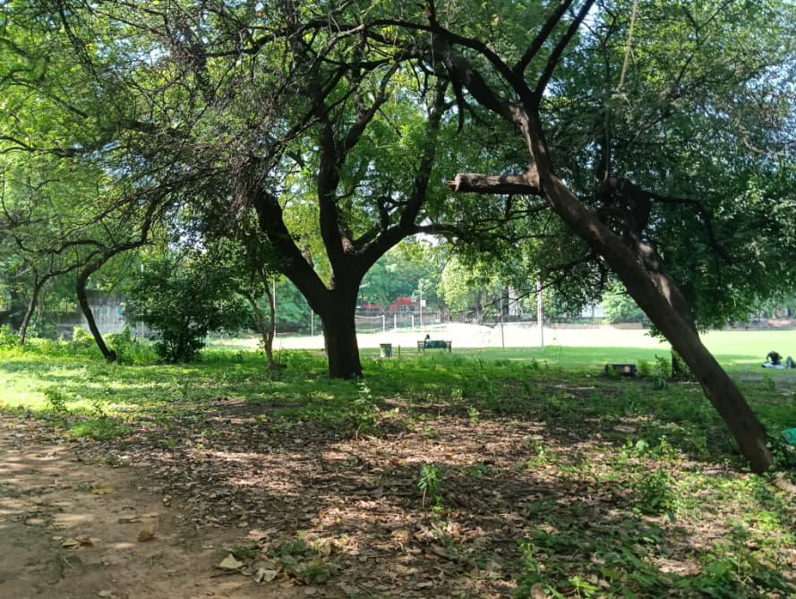 IP College for Women Sports photo 3